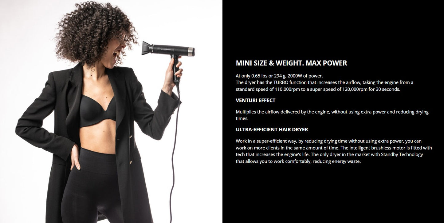 Gama HAIR DRYER IQ 2 PERFETTO