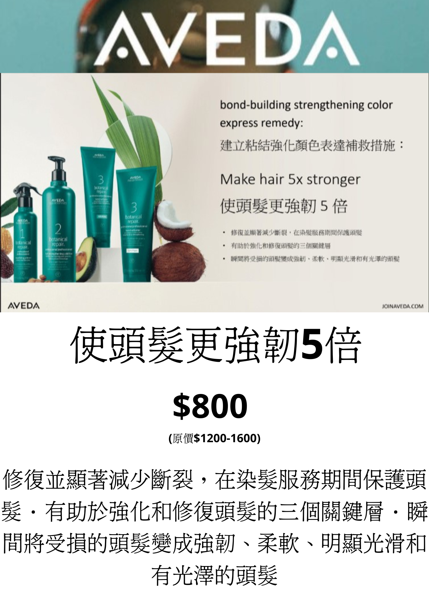 Aveda Botanical Repair Treatment 1 time 三重修復草本護理療程1次(使頭髮更強韌5倍)(適合經漂染髮質