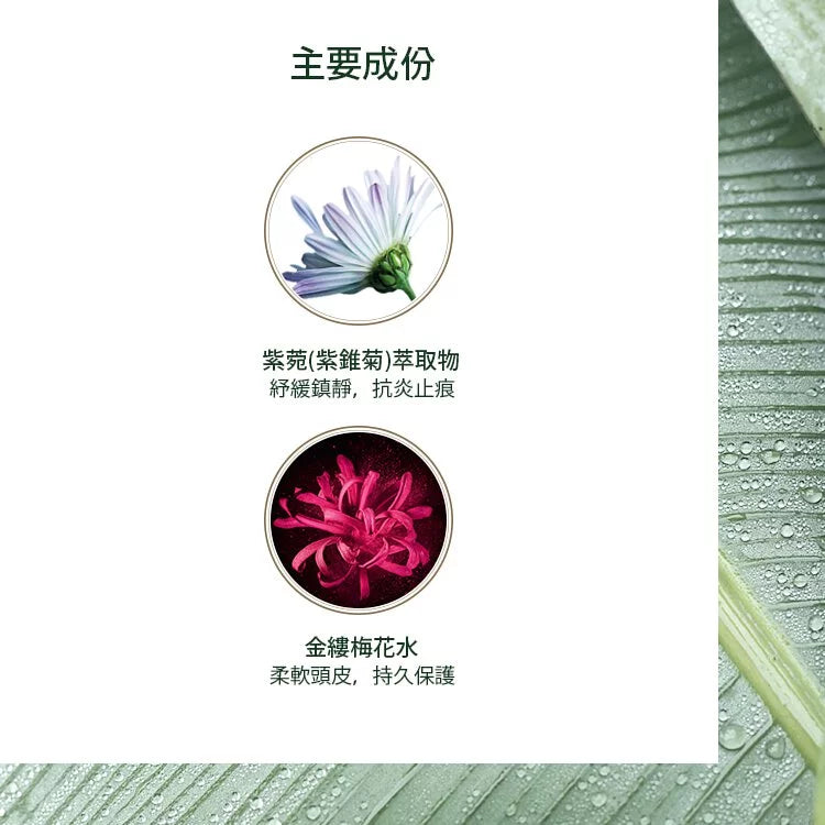 René Furterer-Astera-Astera Smoothing Serum 75ml 紓緩免沖水精華素  (動搜買任何三件八折)