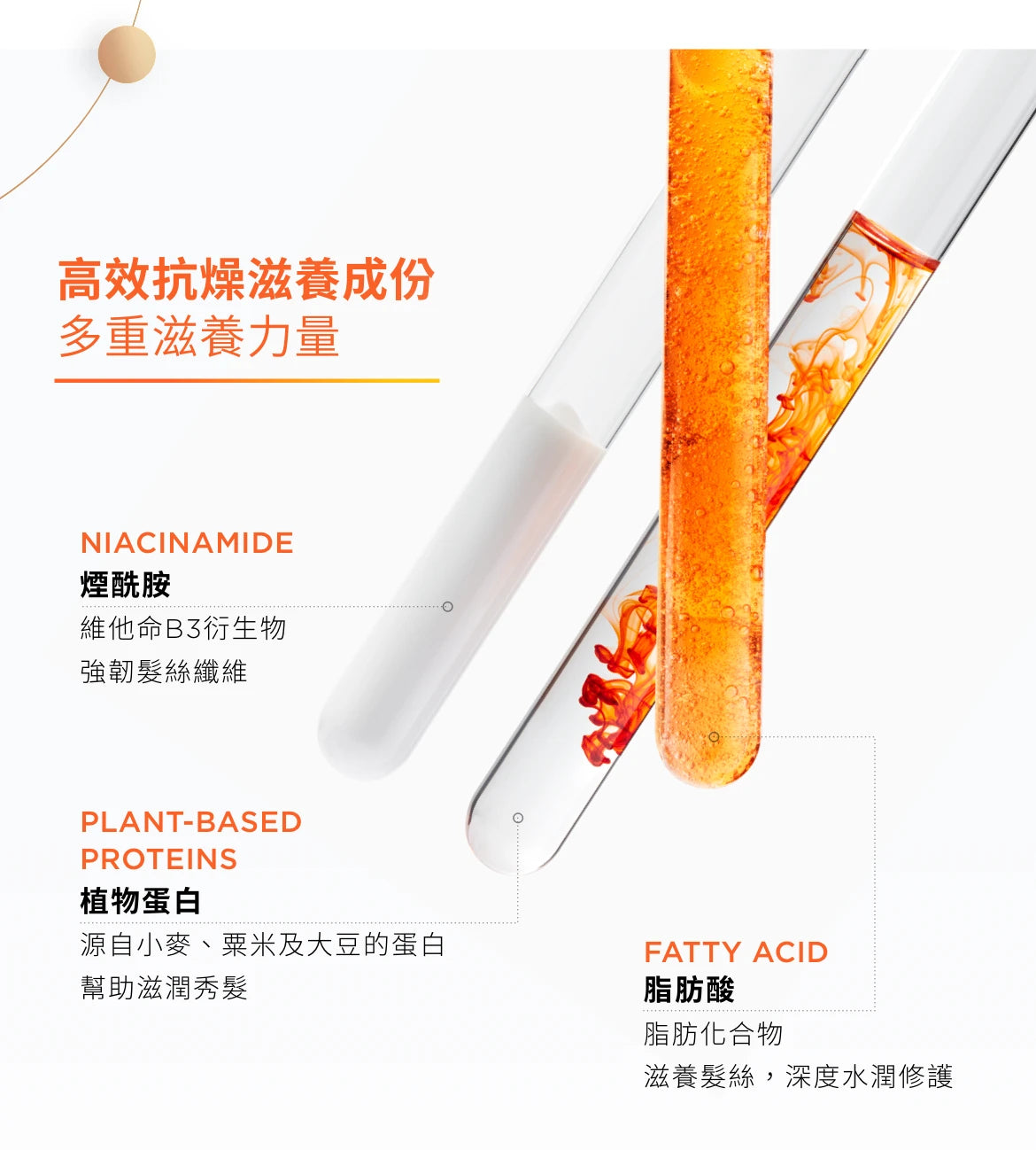 Kerastase NUTRITIVE Bain Satin Riche Shampoo 滋養洗髮水