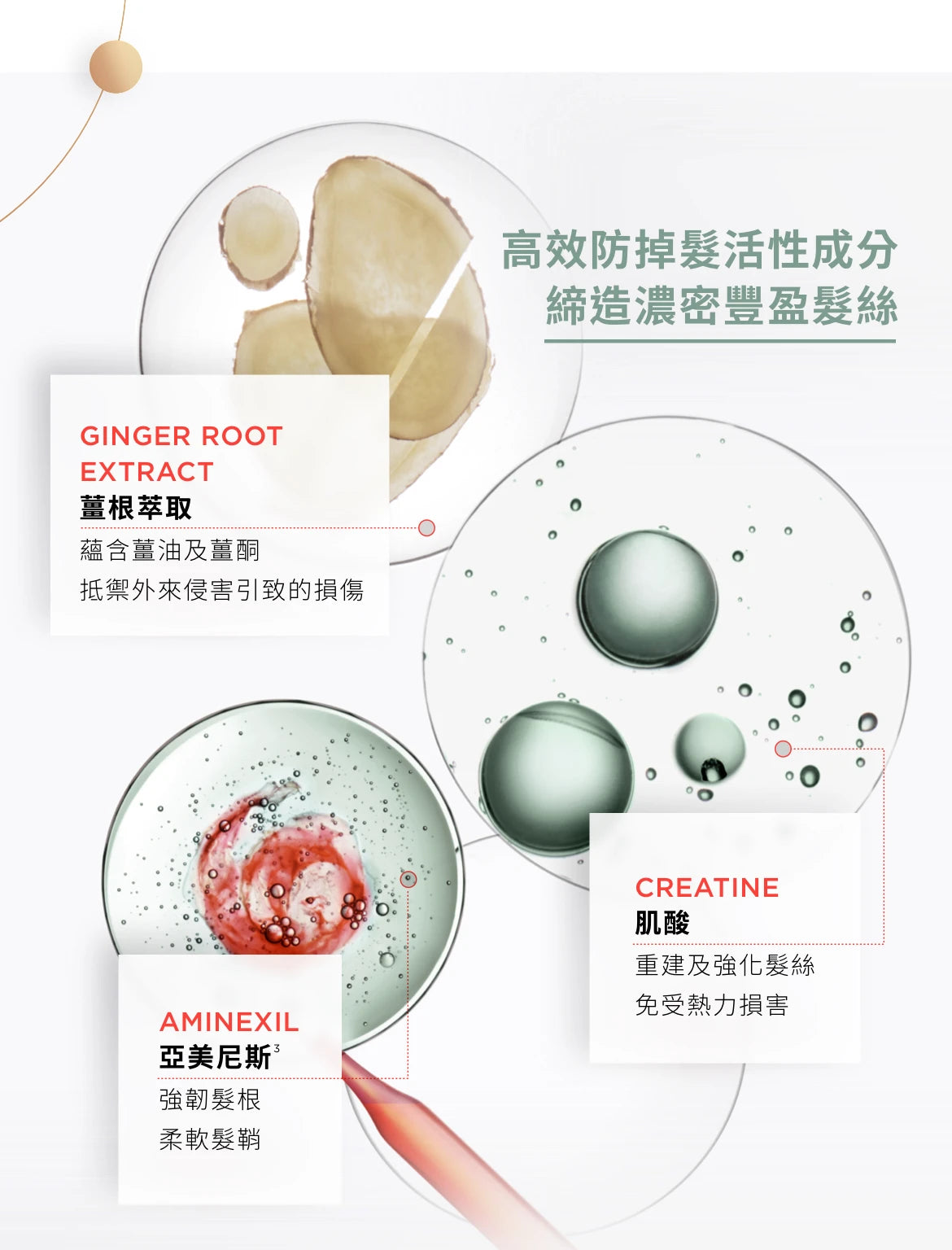 Kerastase GENESIS HOMME Bain De Force Quotidien Shampoo 男士清爽強韌洗髮水